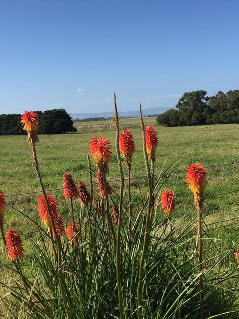 Yanakie Holiday House - Inverell Accommodation 2