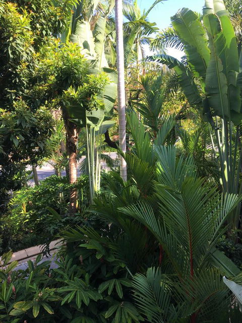 Port Douglas Apartments - Adults Only Oasis - Inverell Accommodation 1