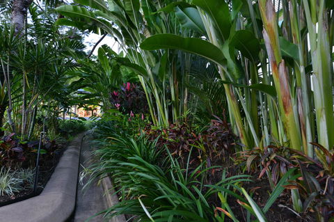 Port Douglas Apartments - Adults Only Oasis - Inverell Accommodation 9