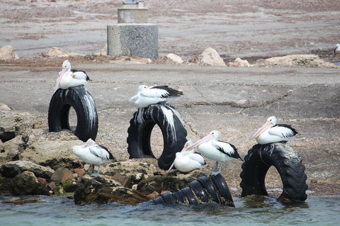 Bayview House - Inverell Accommodation 19