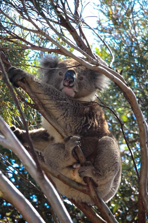 Bayview House - Inverell Accommodation 15