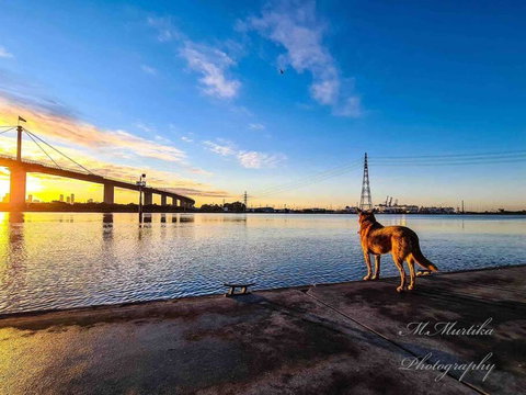 D112 Braybrook Central Stay-Great Getaway - Inverell Accommodation 2