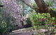 305 Montville - The Artist's Cottage - thumb 3