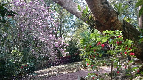 305 Montville - The Artist's Cottage - Inverell Accommodation 3