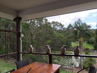 Book Upper Coomera Accommodation Vacations Inverell Accommodation Inverell Accommodation