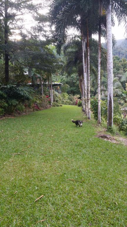 A Daintree Garden - Inverell Accommodation 1