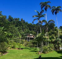 A Daintree Garden - Inverell Accommodation