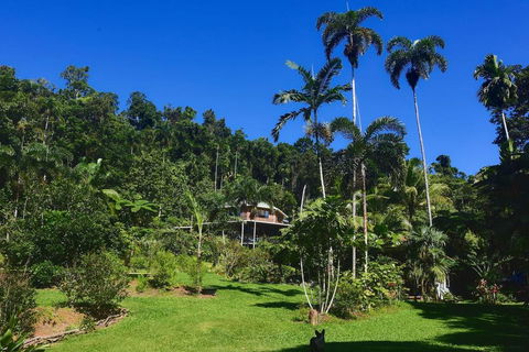 A Daintree Garden - Inverell Accommodation 0