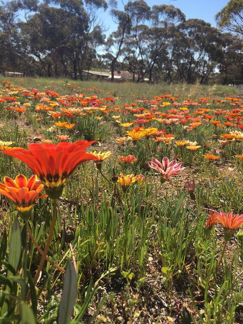 Acclaim Gateway Tourist Park - Inverell Accommodation 2