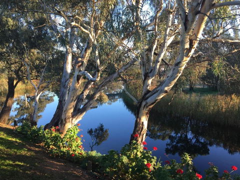 Donald Riverside Motel - Inverell Accommodation 0