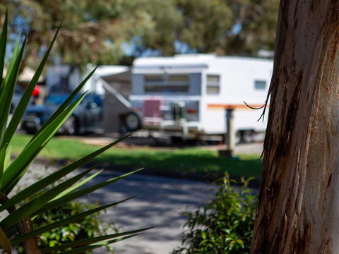 Echo Holiday Parks - Windsor Gardens - Inverell Accommodation 4