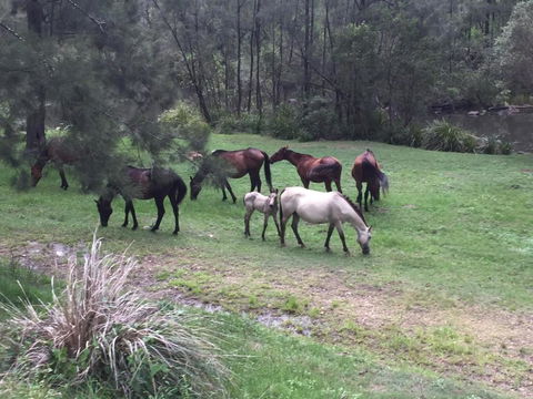 Emu Creek Retreat - Inverell Accommodation 2