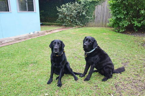 GERR14C - Salty Dog - Inverell Accommodation 3