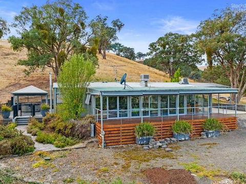 Golden Ash Grove Eco Farm - Inverell Accommodation 0