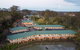 Golf Club Motor Inn Wingham - thumb 0