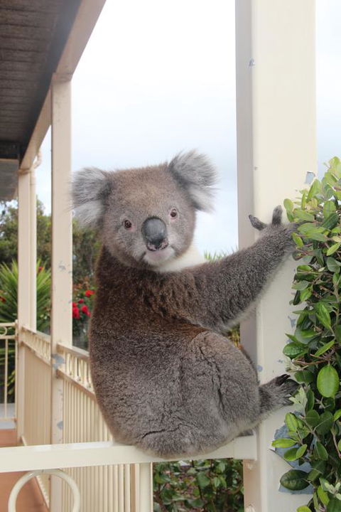 Angela's Beach Stays - Inverell Accommodation 3