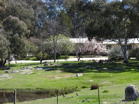 Annies Holiday Units - Inverell Accommodation 3