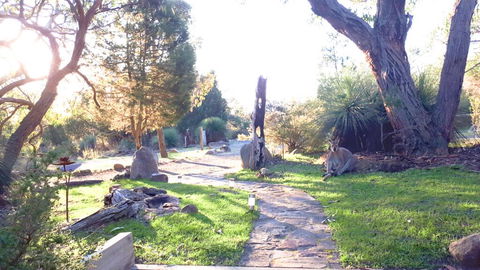 Aquila Eco Lodges - Inverell Accommodation 3