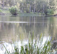 Arcadian Cabin - Southern Highlands River Retreat - Inverell Accommodation