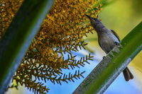 Book Karumba Accommodation Vacations Inverell Accommodation Inverell Accommodation