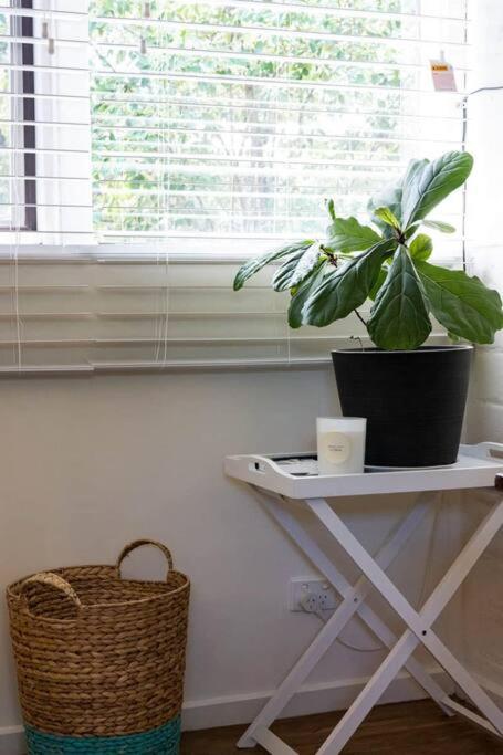 Maldon Cosy Garden Cottage - Charming One Room Studio - Inverell Accommodation 3