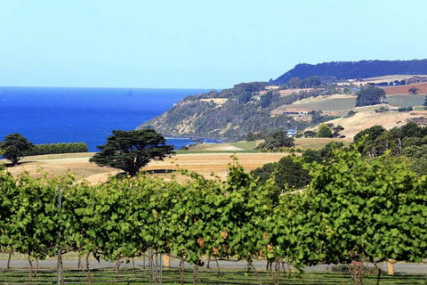 Mallavale Farm, Boat Harbour - Inverell Accommodation 0
