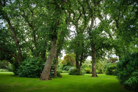 Mallavale Farm, Boat Harbour - Inverell Accommodation 2