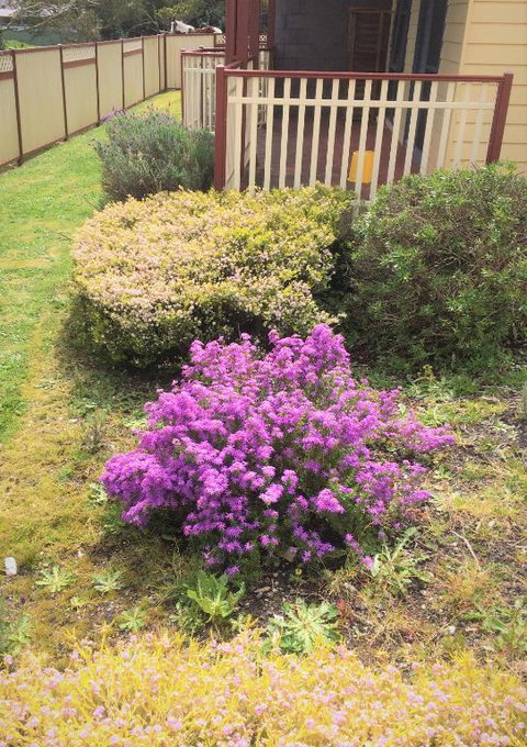 Marsden Court Apartments Now Incorporating Marsden Court And Sharonlee Strahan Villas - Inverell Accommodation 2