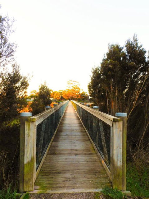 Moomba Holiday And Caravan Park - Inverell Accommodation 3