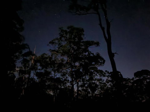 Oakey Creek Country Retreat Kenilworth - Inverell Accommodation 3