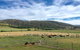 Old Entally Farm - thumb 1