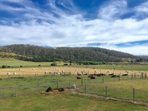 Old Entally Farm - Inverell Accommodation 1