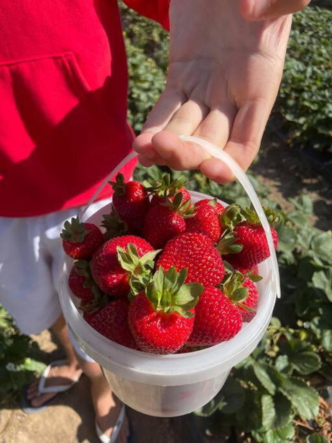 Point Leo Luxury Beach House - Point Leo - Inverell Accommodation 2