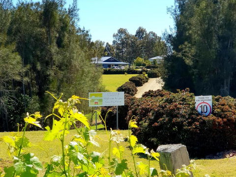 Red Door Collective - RDC Vineyard Estate, Luxury Adult Only Stay - Inverell Accommodation 0
