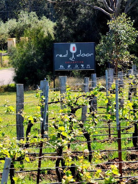 Red Door Collective - RDC Vineyard Estate, Luxury Adult Only Stay - Inverell Accommodation 1
