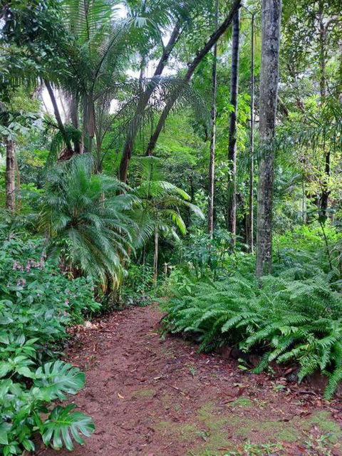 Rainforest Retreat-Fireplace-BBQ-3 Acres- - Inverell Accommodation 0