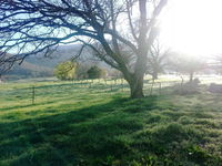 Book Dadswells Bridge Accommodation Vacations Inverell Accommodation Inverell Accommodation