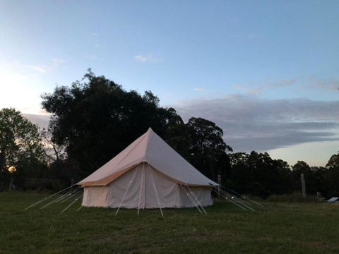 Relaxing Bell Tent In Northern NSW - Inverell Accommodation 1