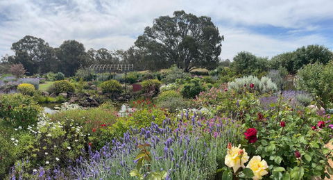River Gardens Axedale Pet Friendly Farmstay B&B - Inverell Accommodation 0