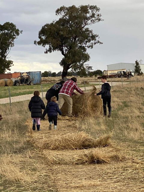 River Gardens Axedale Pet Friendly Farmstay B&B - Inverell Accommodation 1