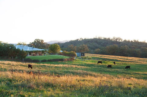 Rosby Guesthouse And Studio - Inverell Accommodation 0