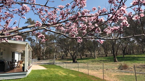 Rosewood Cottage - Inverell Accommodation 3