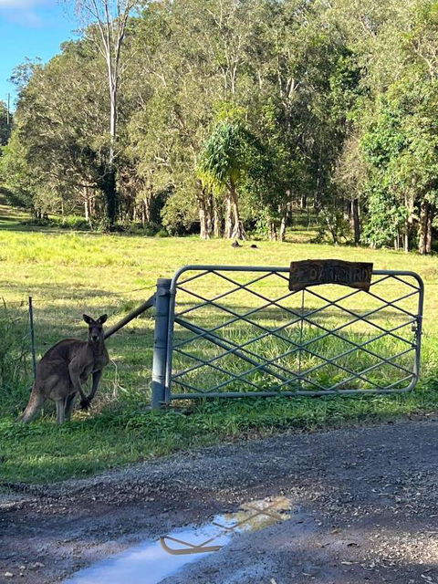 Rural Self Contained 3 Bedroom Cottage On Acreage, - Inverell Accommodation 2