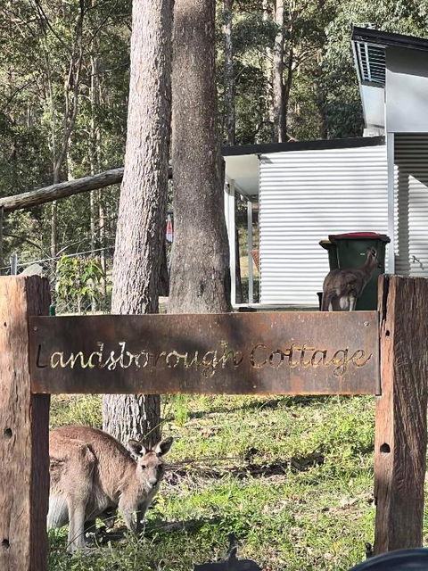 Rural Self Contained 3 Bedroom Cottage On Acreage, - Inverell Accommodation 1
