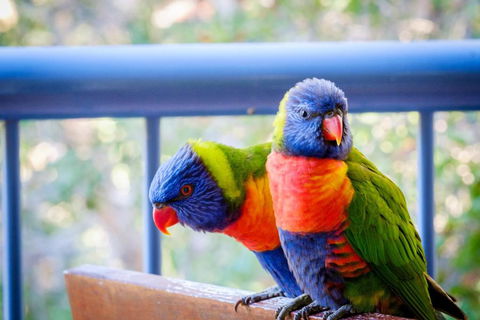 Sanctuary Lake Apartments - Inverell Accommodation 1