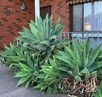 Beautiful Bedroom in Bentleigh East - Inverell Accommodation