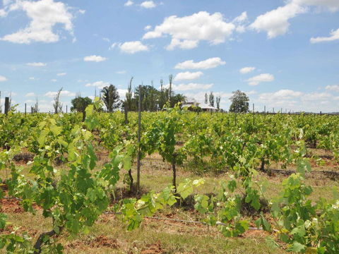 Beggars Bridge Vineyard Homestead W/ Pool + Wifi + Tennis + Vineyard - Inverell Accommodation 2