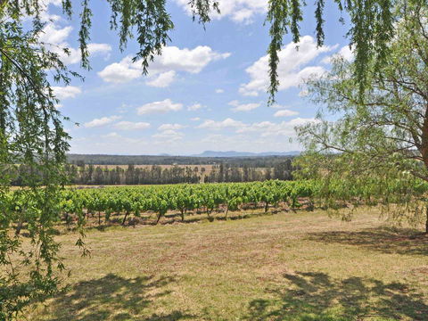 Beggars Bridge Vineyard Homestead W/ Pool + Wifi + Tennis + Vineyard - Inverell Accommodation 3