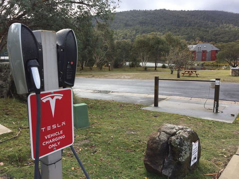 Bianca Montane - Inverell Accommodation 3