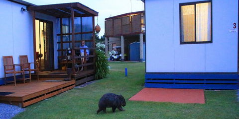 BIG4 Kelso Sands Holiday & Native Wildlife Park - Inverell Accommodation 0